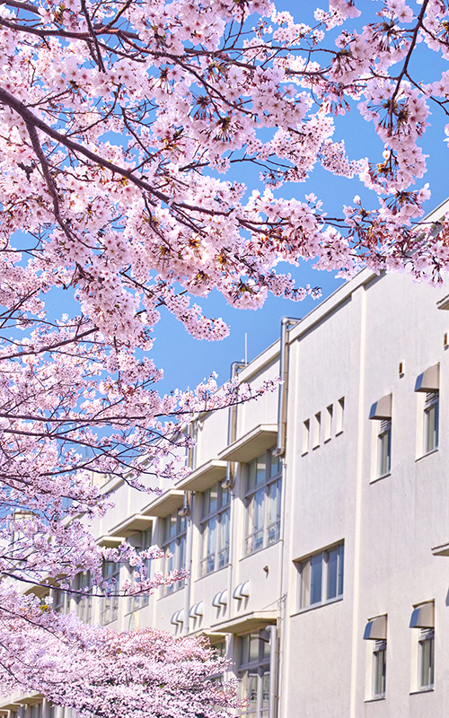 学校・教育機関