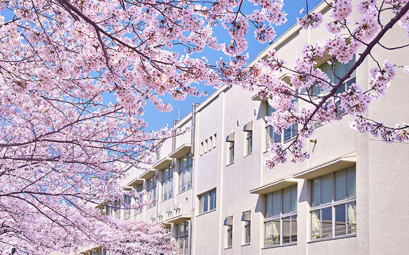学校・教育機関